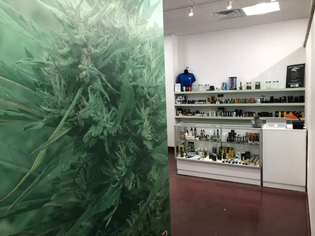 CannaBuddy NoDa