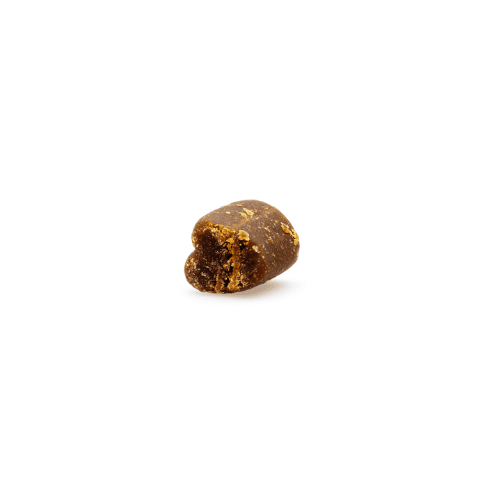 HolistaPet CBD Mobility Soft Chews for Dogs (300 mg Total CBD) - Piece