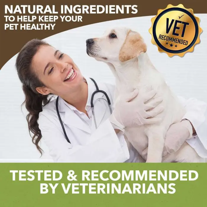 HolistaPet CBD Calming Soft Chews for Dogs (300 mg Total CBD) - Image 7