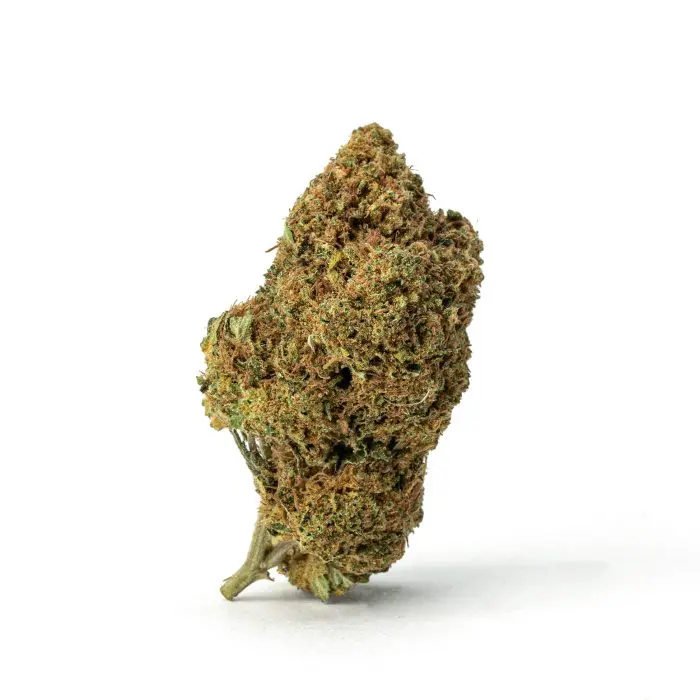 THCa Flower Pineapple Express - Bud