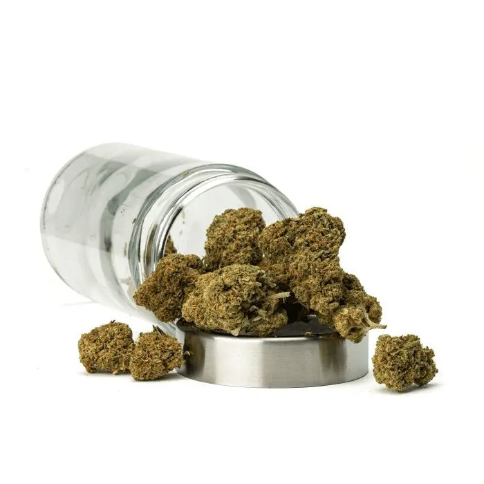 THCa Flower Pineapple Express - Ounce