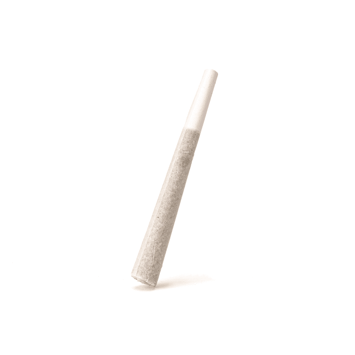 THCa Flower Pre-Roll GG4 - Pre-Roll