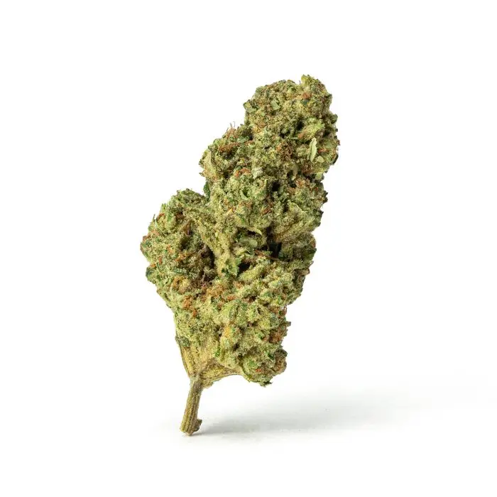 THCa Flower Han Solo -Bud