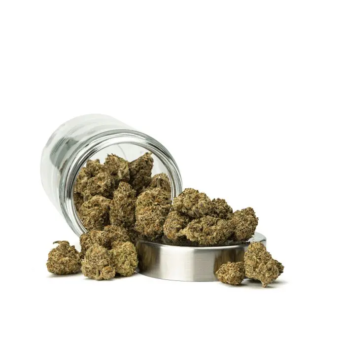 THCa Flower Han Solo - Ounce