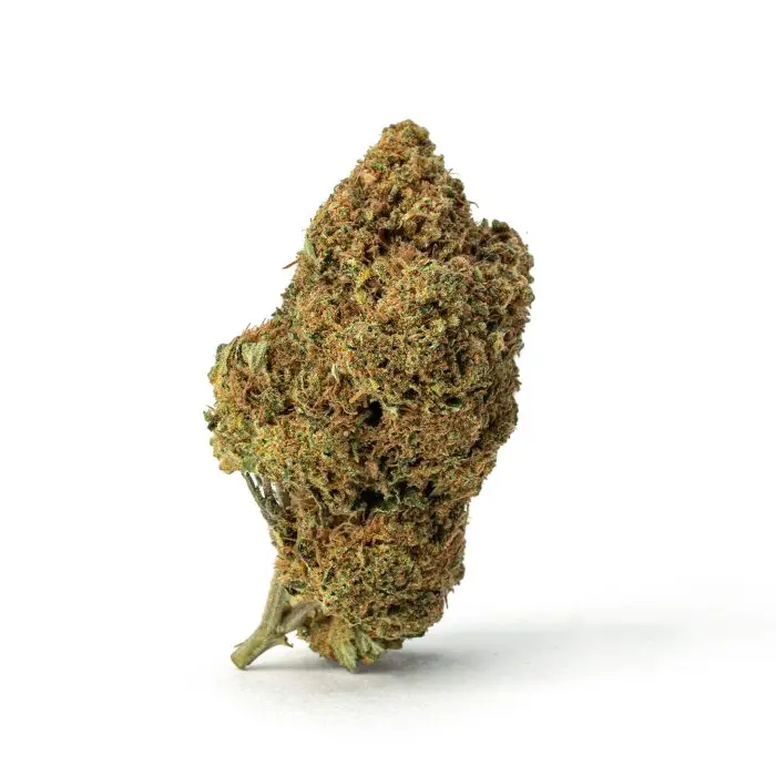 THCa Flower Sex Panther - Bud