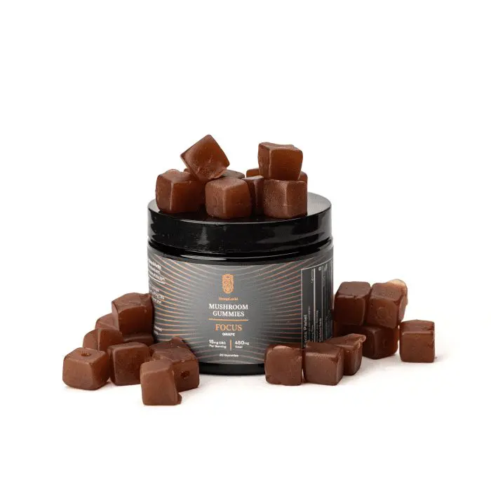 HempLucid - Mushroom Gummies - Focus - Grape - Combo