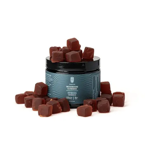 HempLucid - Mushroom Gummies - Stress - Watermelon - Combo