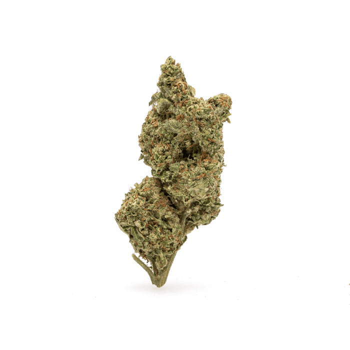 THCa Flower Gold Cash - Bud