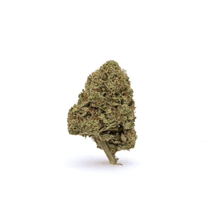 THCa Flower Granddaddy Purple - Bud