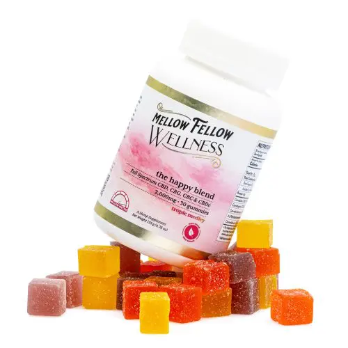 Mellow Fellow Wellness Gummies - Elevate Blend - Tropic Medley (2000 mg Total Cannabinoids) - combo