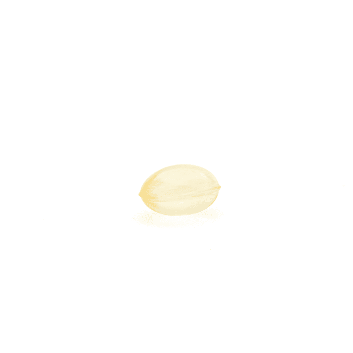 Mellow Fellow Wellness Softgel Capsules - Illuminate Blend (600 mg Total Cannabinoids) - Single