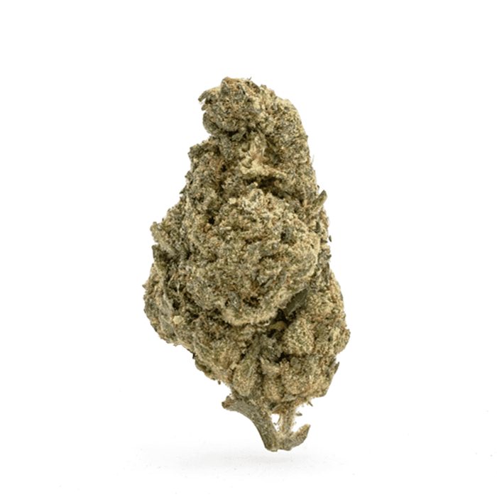 THCa Flower OG Kush - Bud