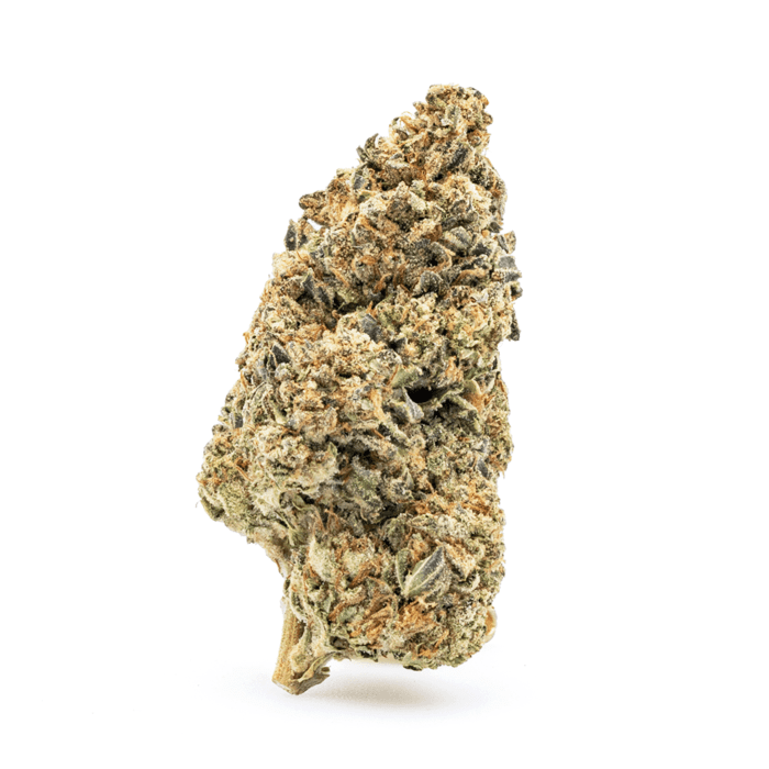 THCa Flower Cereal Milk - nug