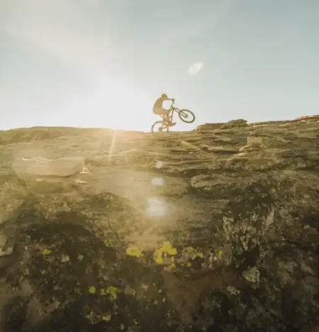 Buy CBD Products, CBD Tincture, Edibles, Topicals & Flower