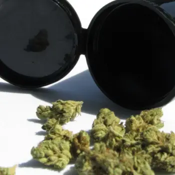 CBD Flowers