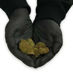 Delta-8-THC Infused Flower - Cookie Dough - Hands