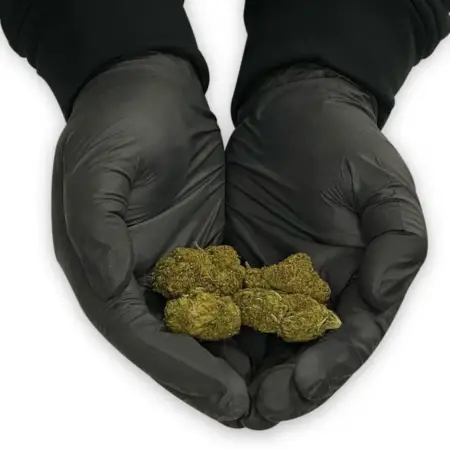 Delta 8 THC Infused Flower - Sour Space Candy - Hands