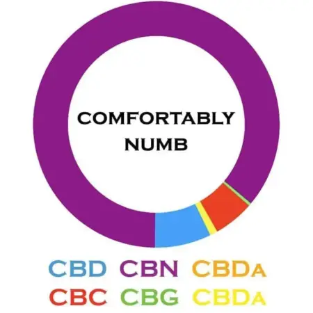 3Chi Comfortably Numb Oil - Breakdown