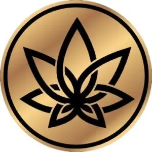 3Chi Logo