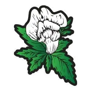 Snapdragon Hemp Logo