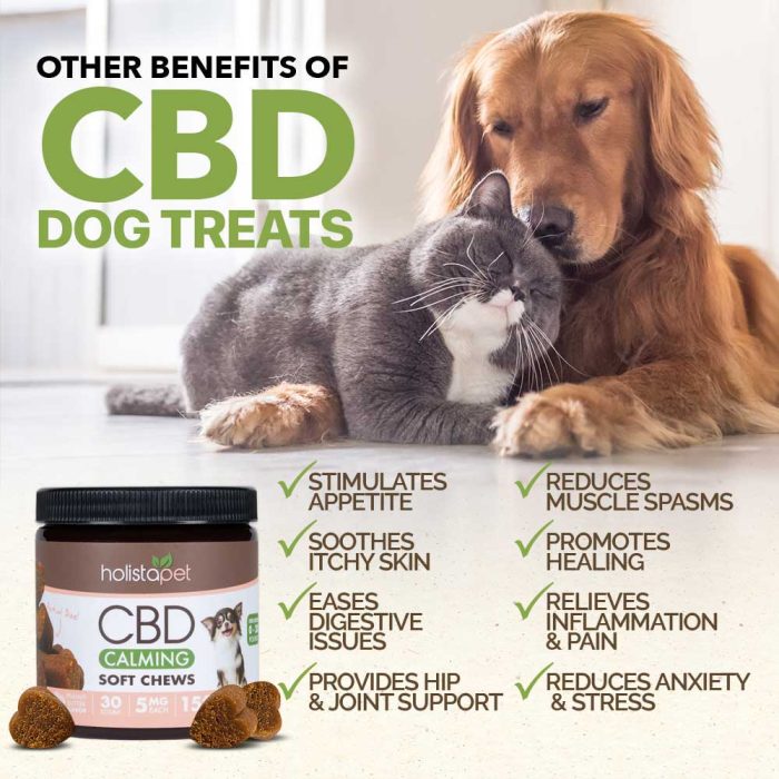 Holistapet CBD Calming Soft Chews for Dogs Other Benefits