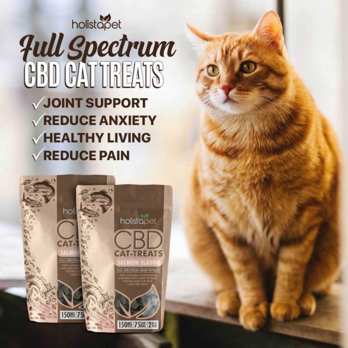 Holistapet CBD Cat Treats Benefits
