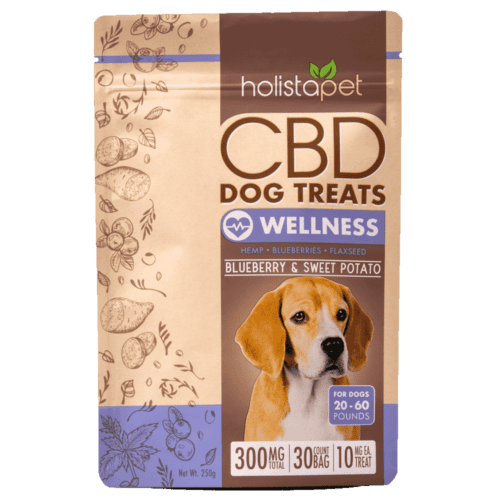 Holistapet CBD Dog Treats + Heart & Immune Care (300mg Total CBD)