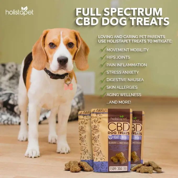 Holistapet CBD Dog Treats + Heart & Immune Care Benefits