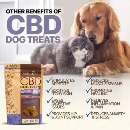 Holistapet CBD Dog Treats + Heart & Immune Care Other Benefits