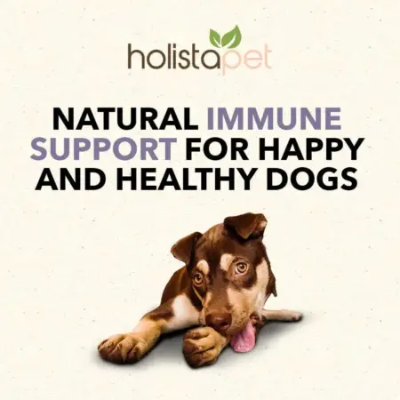 Holistapet CBD Dog Treats + Heart & Immune Care Support