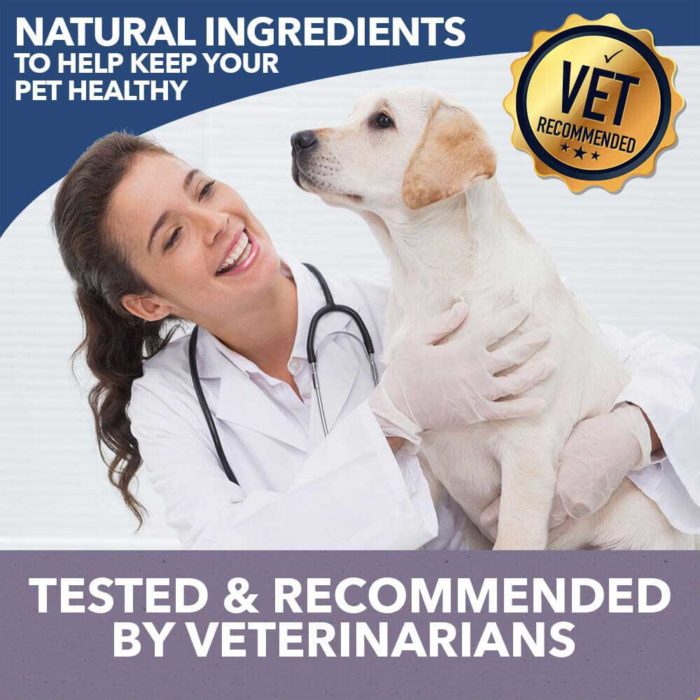 Holistapet CBD Dog Treats + Heart & Immune Care Vet Recommended