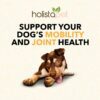 Holistapet CBD Dog Treats + Joint & Mobility Care Support