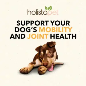 HolistaPet CBD Mobility Soft Chews for Dogs (300 mg Total CBD) - Image 6