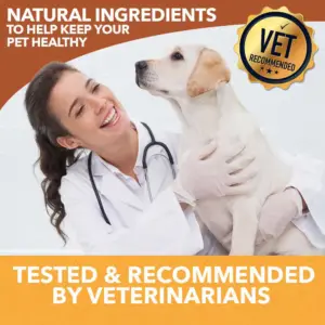 HolistaPet CBD Mobility Soft Chews for Dogs (300 mg Total CBD) - Image 7