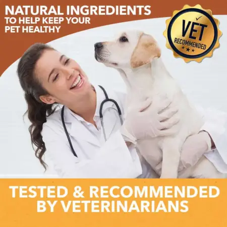 HolistaPet CBD Mobility Soft Chews for Dogs (300 mg Total CBD) - Image 7