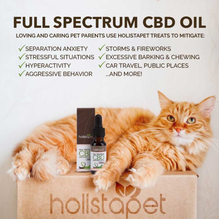 Holistapet Full Spectrum CBD Oil Cat