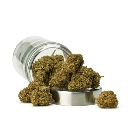 THCa Flower GG4 - Ounce