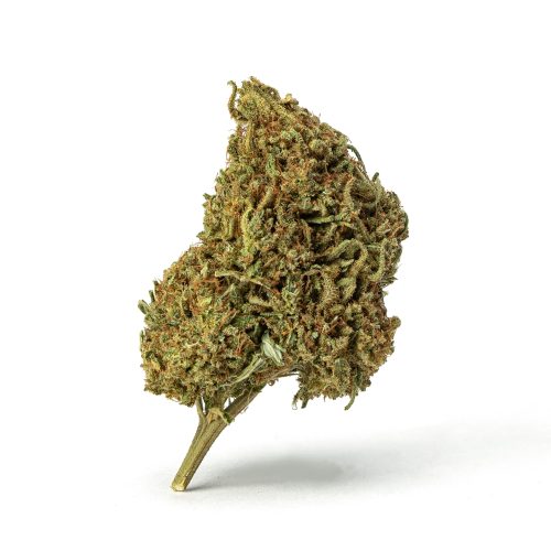 High THCa Flower - Gorilla Glue - Bud