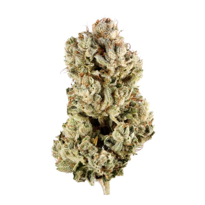 High-THCa Gorilla Glue Flower Bud