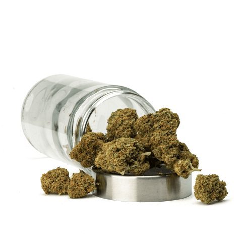 Shop High-THCa Pineapple Express Flower Online | CannaBuddy