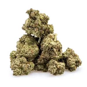 THCa Flower Pineapple Express - Pile