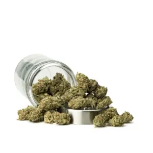 THCa Flower Grape Frosty - Ounce