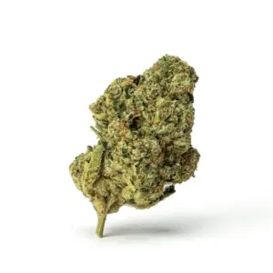 THCa Flower Mac 01 - Bud