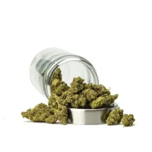 THCa Flower Mac 01 - Ounce
