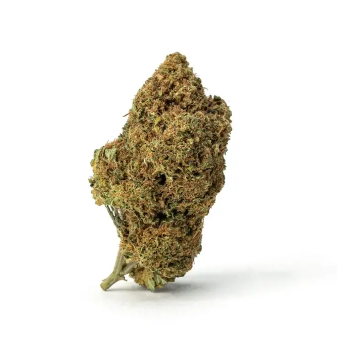 THCa Flower Sex Panther - Bud
