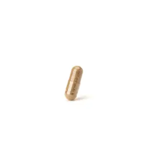 HempLucid - CBD Full Spectrum - Herbs and Mushrooms - Stress Relief - Single Capsule