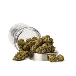 THCa Flower Sex Panther - Ounce