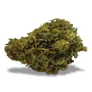 CBD Flower - Sour Space Candy - Bud