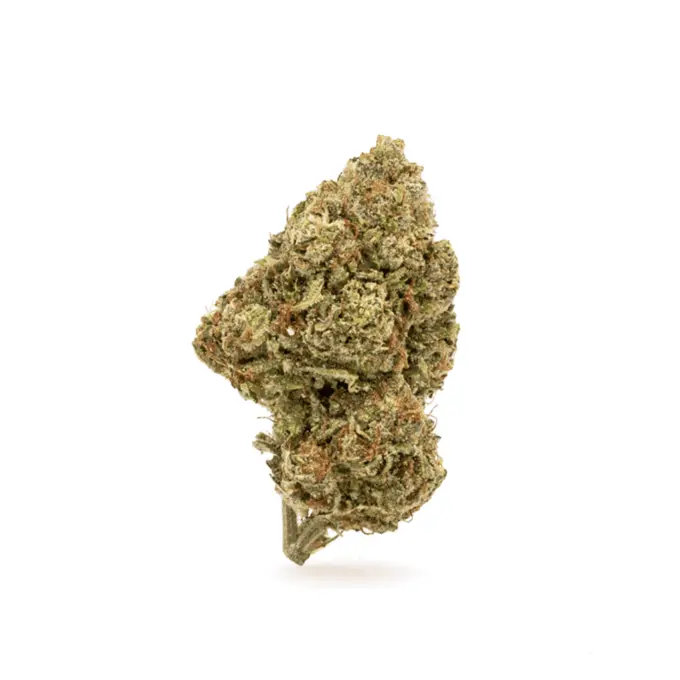 THCa Flower Gary Payton - Bud