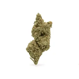 THCa Flower Gold Cash - Bud